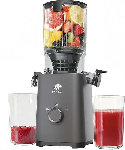Cold Press Juicer Machines, 5.3" Large Feed Chute Slow Masticating Juicer, Powerful AC Brushless Motor Fit Whole Fruits & Vegetable, 99% Juice Yield, Ultra Quiet, Easy Clean